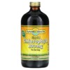 Dynamic Health Liquid Chlorophyll Natural Spearmint 100 mg 16 fl oz (473 ml) 1 Dynamic Health Liquid Chlorophyll Natural Spearmint 100 mg 16 fl oz (473 ml) 790223101584