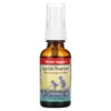 Herbs for Kids Super Kids Throat Spray Peppermint 1 fl oz (30 ml) 701619107110