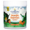 Nordic Naturals Nordic Berries Multivitamin Gummies Ages 3+ Original 120 Gummy Berries 768990301209