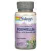 Solaray Boswellia 450 mg 60 VegCaps 076280399059