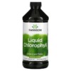 Swanson Liquid Chlorophyll 100 mg 16 fl oz (473 ml) 087614060316